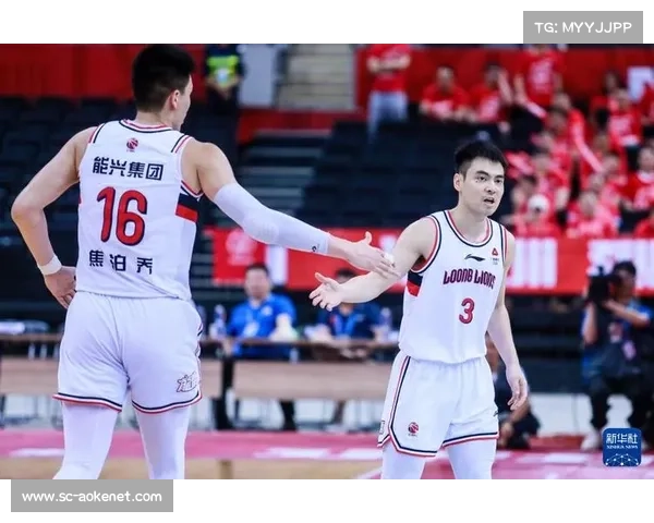 广州龙狮崛起成为华南篮球新兴力量推动区域篮球文化发展