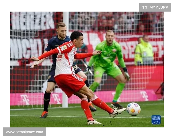 德国足球甲级联赛德甲激情与高效并存的顶级赛事魅力 德国足球甲级联赛德甲激情与高效并存的顶级赛事魅力