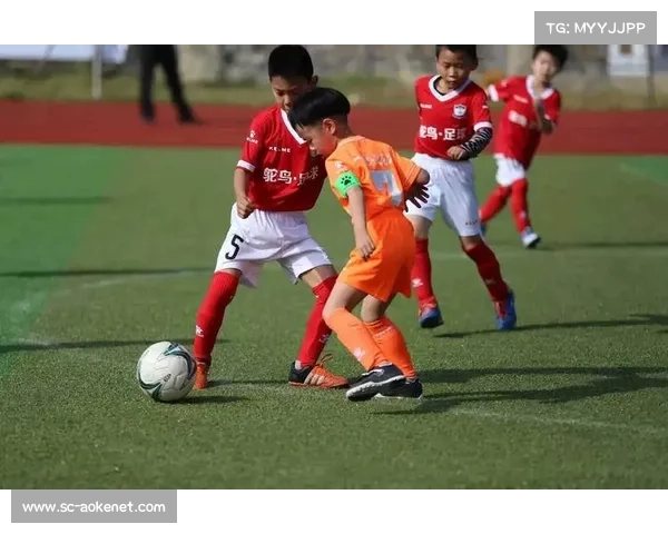 日本职业足球联赛展现亚洲风采的独特魅力与发展潜力 日本职业足球联赛展现亚洲风采的独特魅力与发展潜力