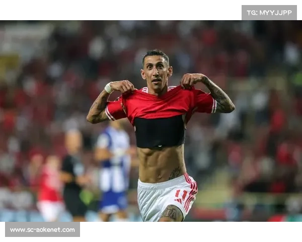 本菲卡：葡萄牙超级联赛传统强队，欧洲赛场常客，辉煌历史与未来展望