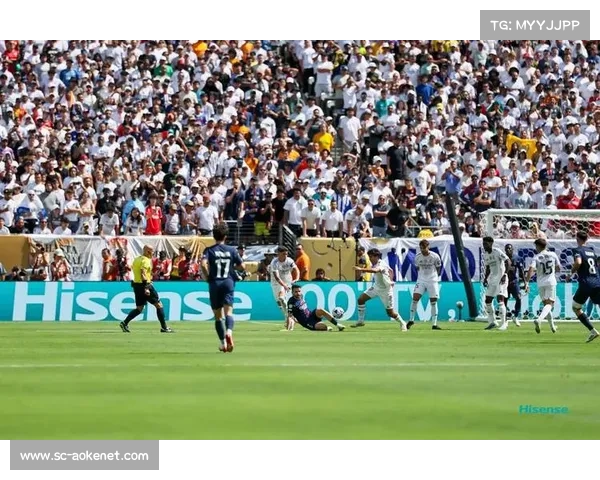 欧洲冠军联赛：见证世界顶级俱乐部间的巅峰对决与荣耀之战